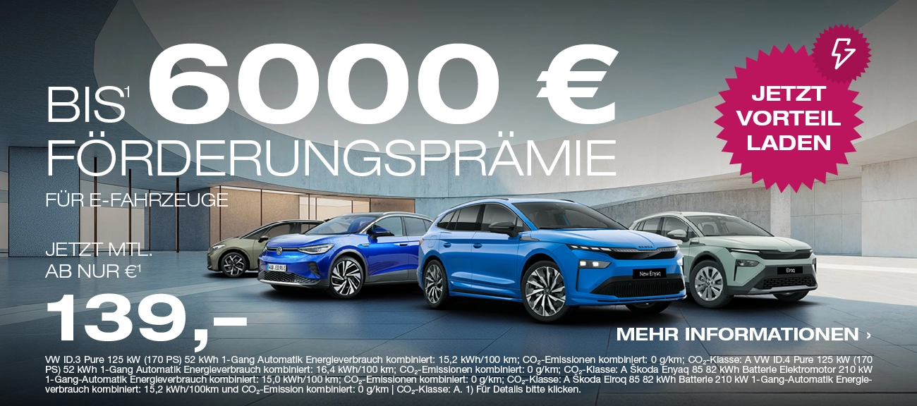 Elektro Förderprämie