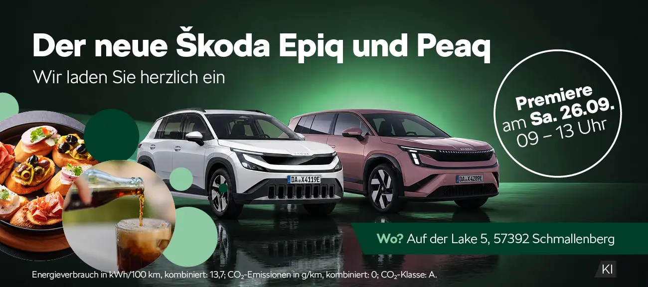 Skoda Best Day
