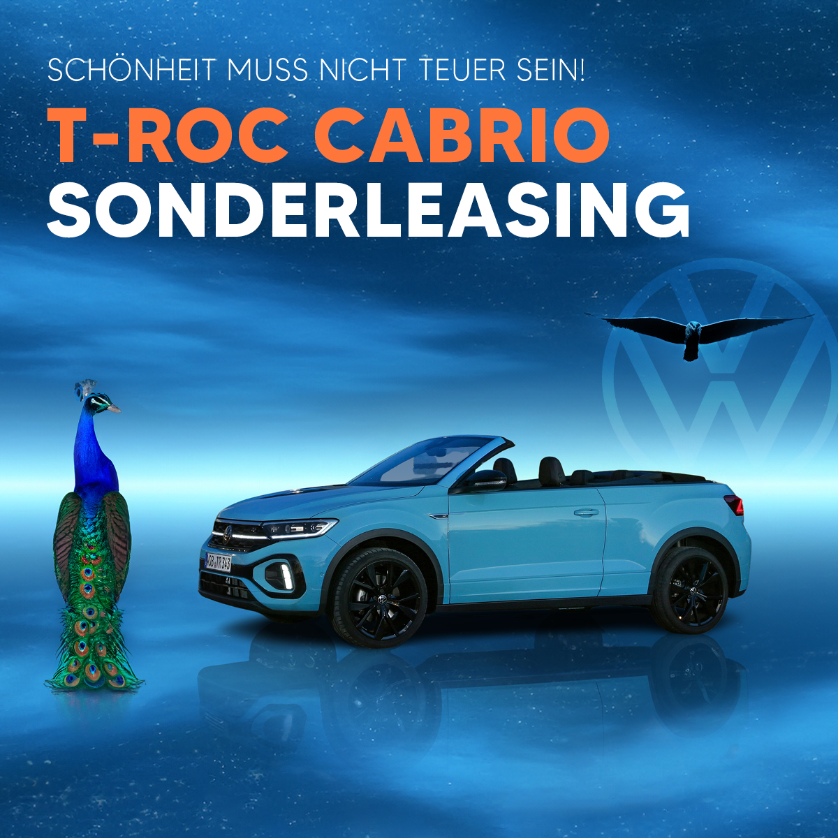 HEADER-MOBILE-T-Roc-Cabrio-SONDER HEADER-MOBILE-T-Roc-Cabrio-SONDER