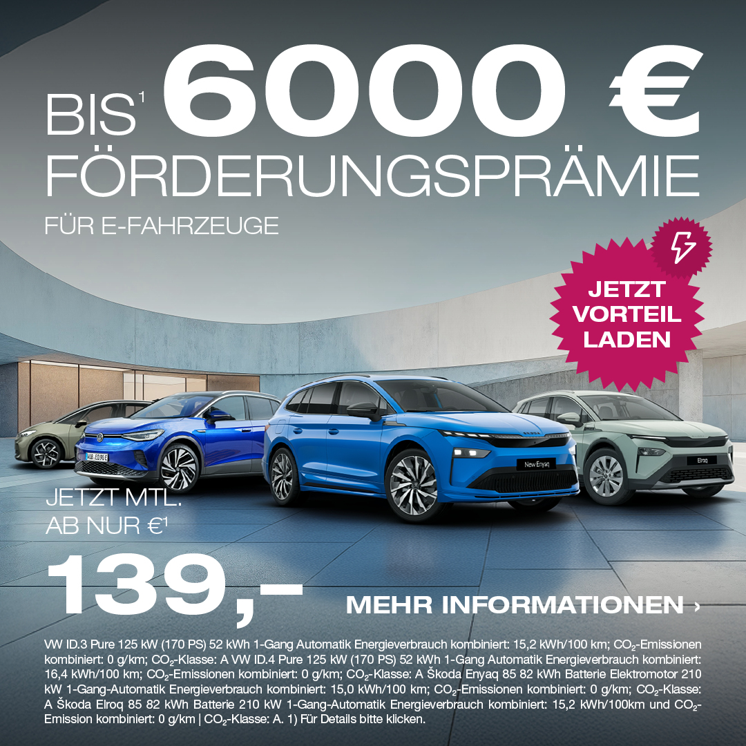 BEITRAG Elektro Förderprämie