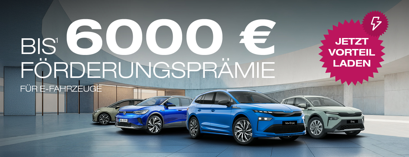 HEADER DESKTOP Elektro Förderprämie