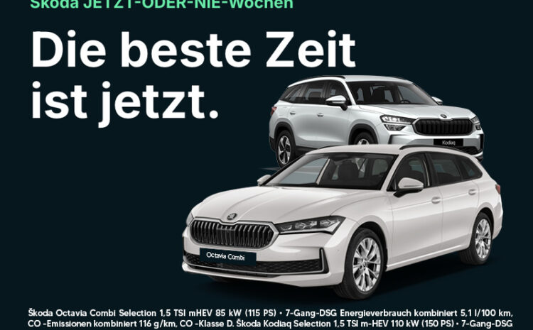  Škoda Best For All Aktion